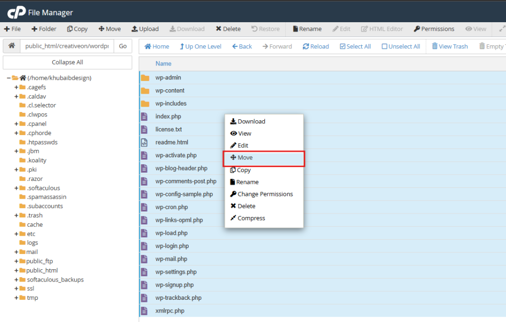 Replace WordPress Core Files