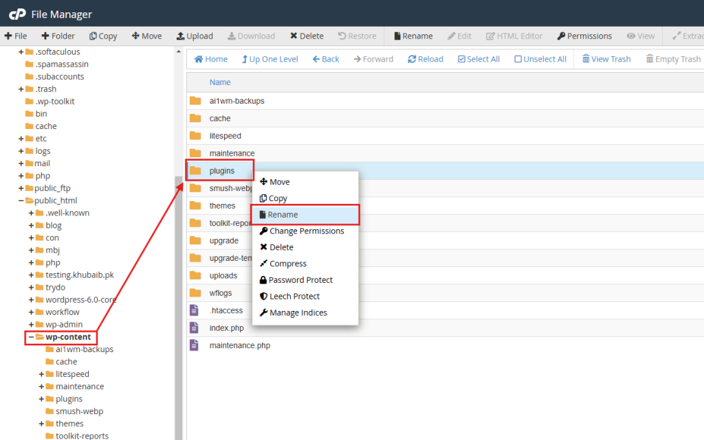 deactivate all the plugins